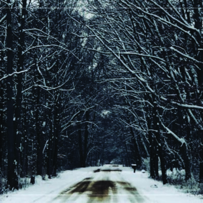 a snow-covered road through the woods