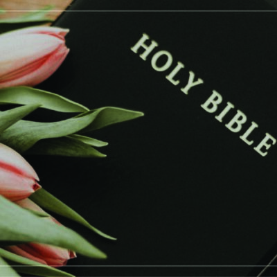 a black leather Bible on a table with pink tulips resting on it