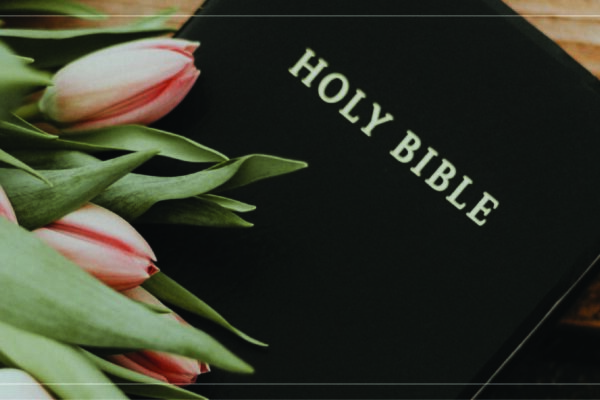 a black leather Bible on a table with pink tulips resting on it